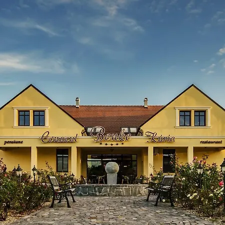 Guest house Conacul Benke 5*